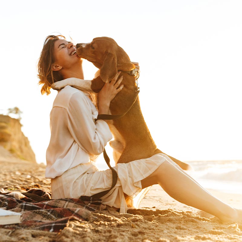 dog and person on beach in Mooresville & Denver, NC