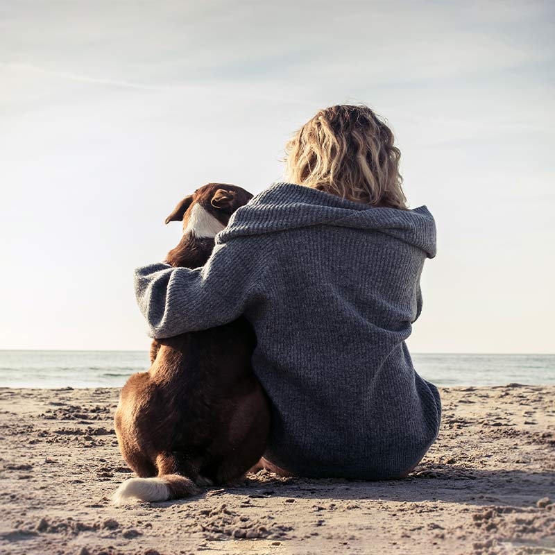 girl sitting with dog on beach in Mooresville & Denver, NC