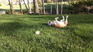 1399477227449-d89c6175645359b62edc137b5feec901