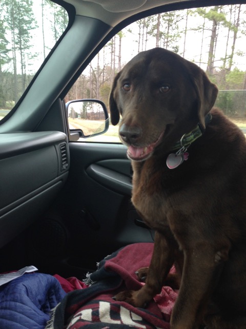 Our sweet KeeWee will be missed.
