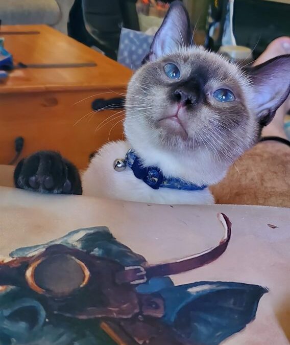 Our special Cheesecake and Bean