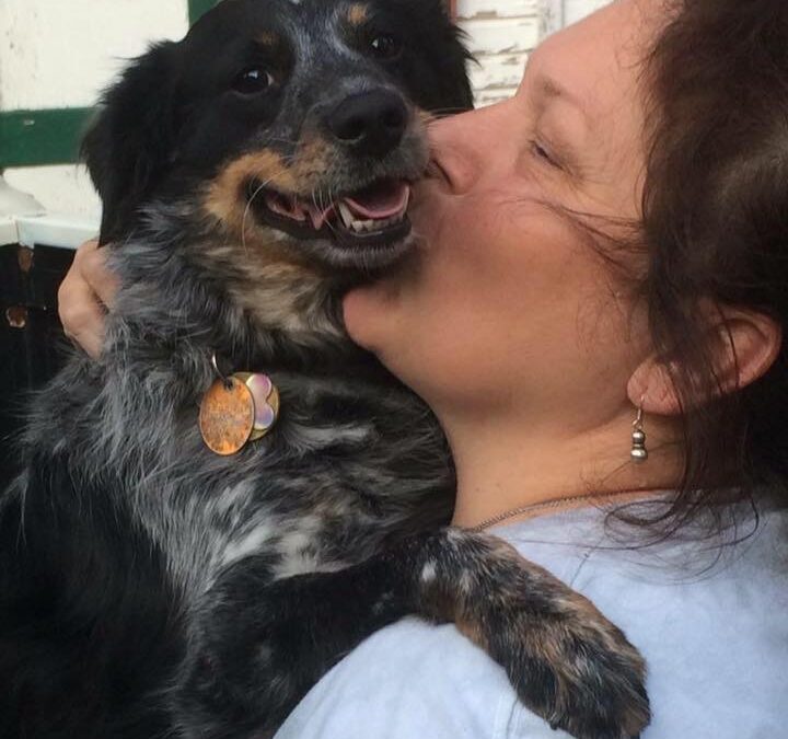 Libby our best girl gone too soon, forever in my heart