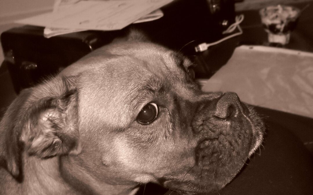 Chloe Loved Balloons!