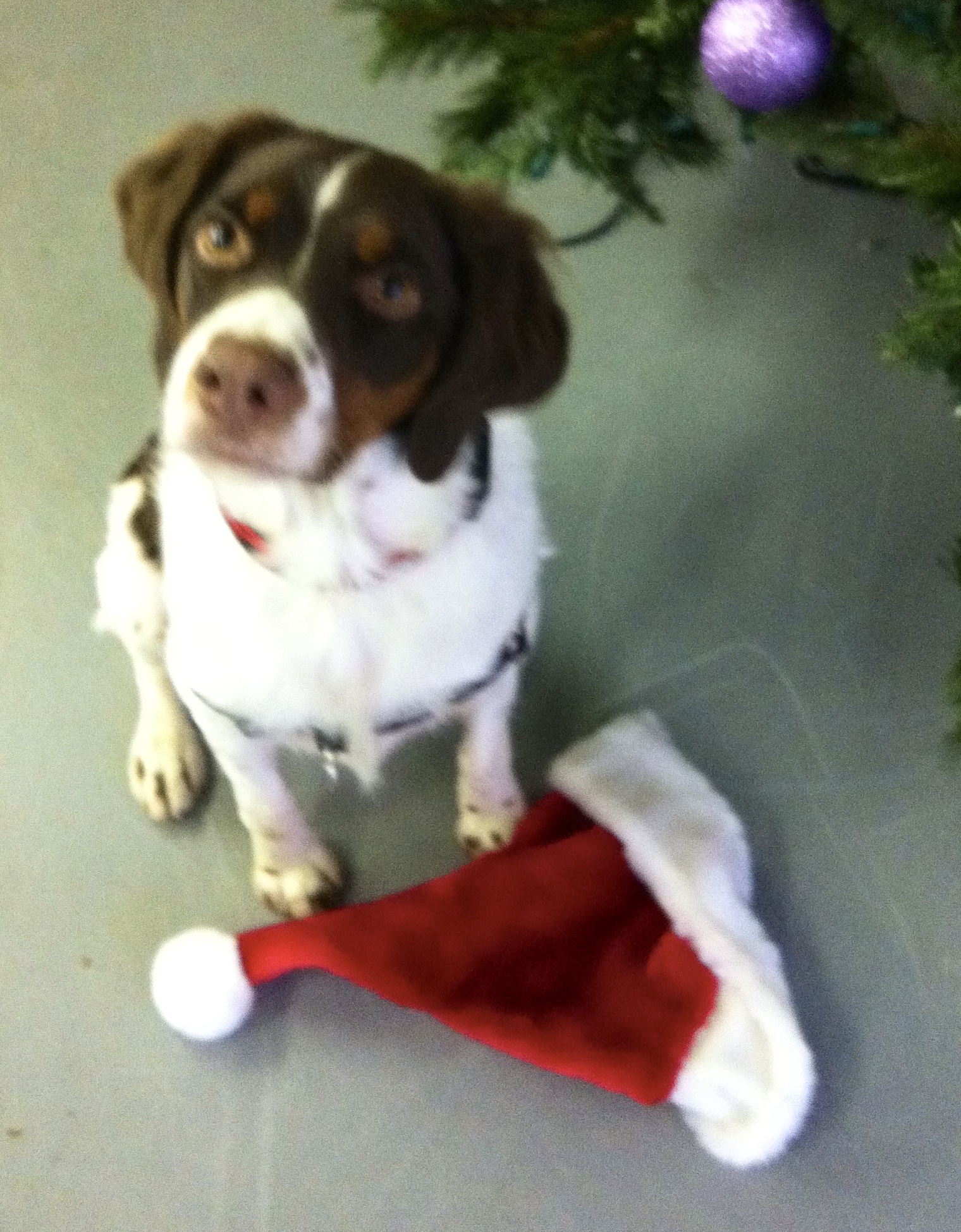 4593961A-8B34-43BB-9B62-E5EDB7037690-0bb3d2bbe8938588f5b756f113daa46e