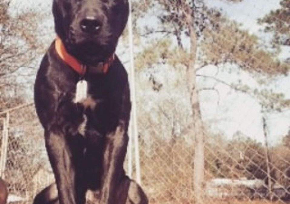 Handsome fella