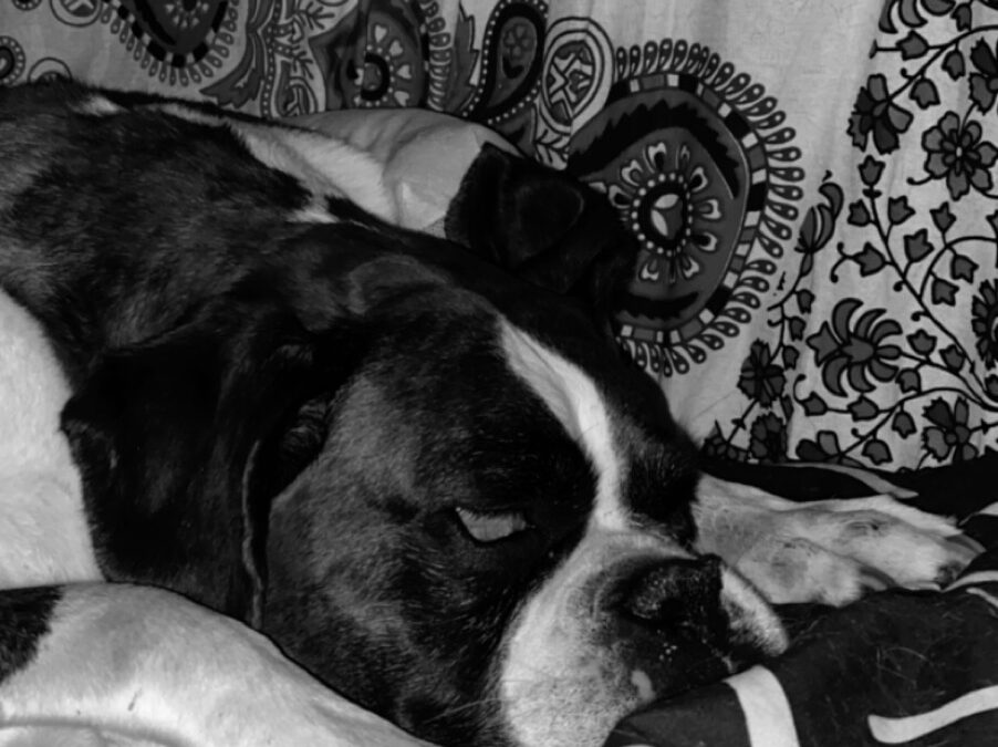 Remembering Jetta