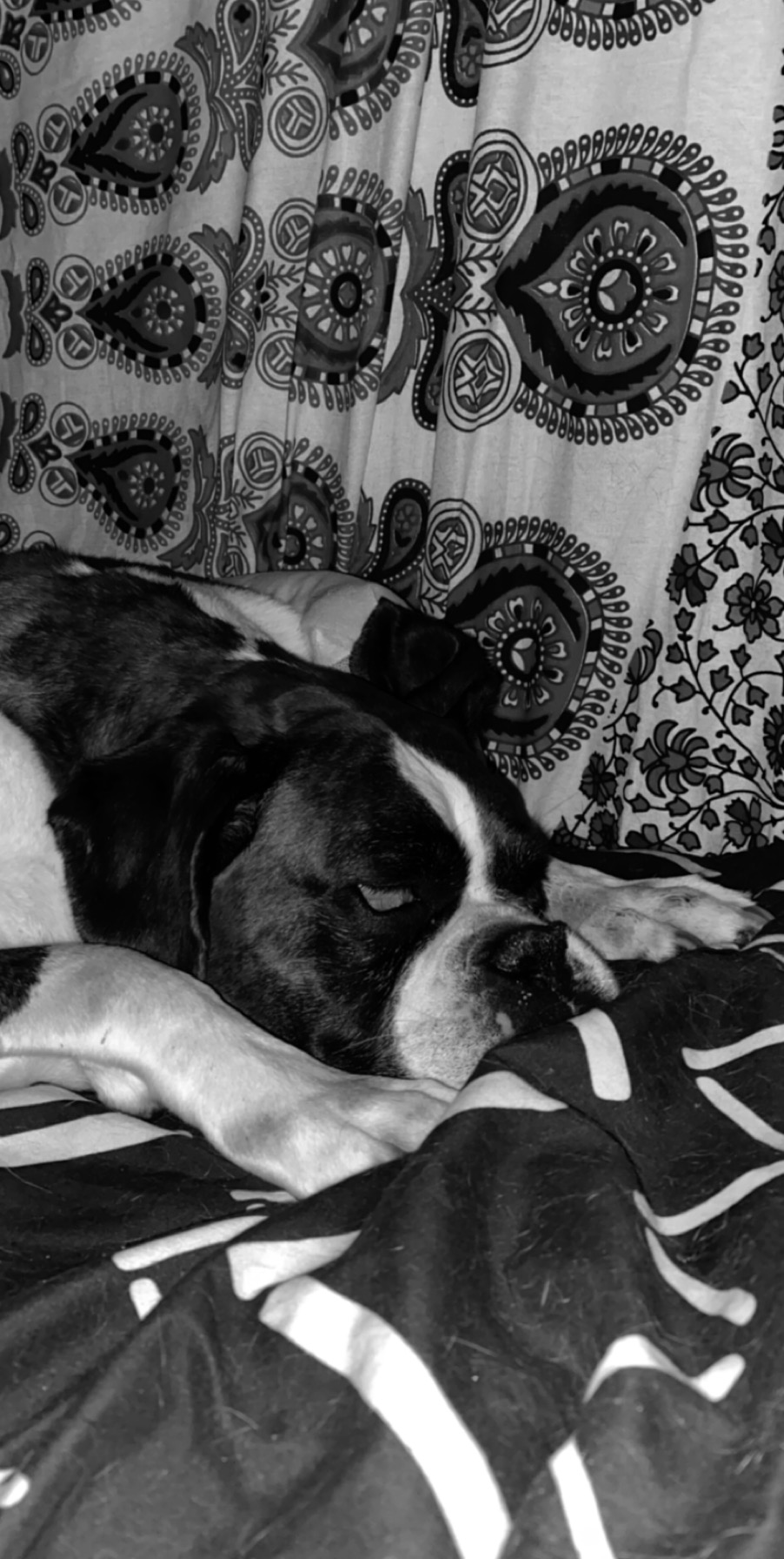 4E098798-D7F7-4148-823A-CD88422056F4-adb5dae1f4be72aac7f380ec76dd63ac