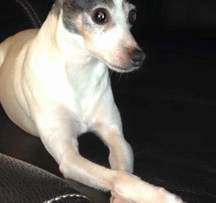 Gonna miss our lil’ man.