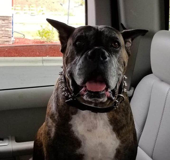 Run Free My Son, We Love You So Much