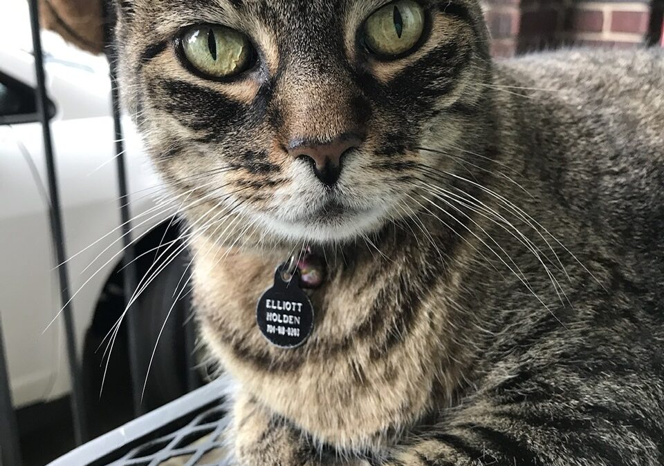 Our Strong Brave Boy