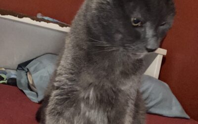 Julius aka Old Man