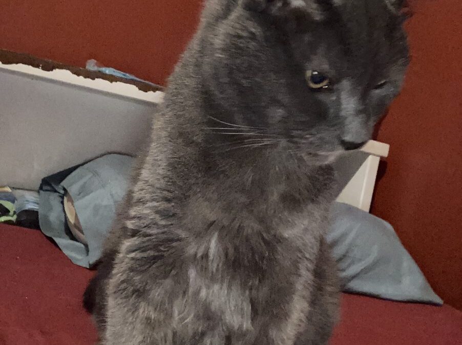 Julius aka Old Man