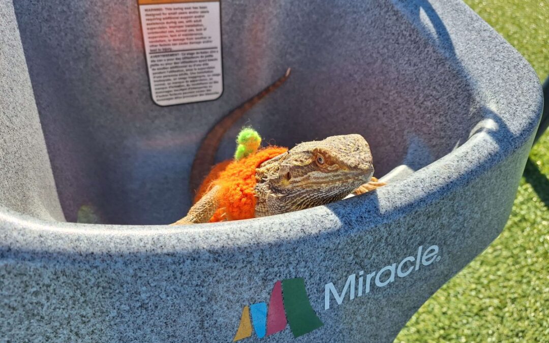 We’ll Meet Again Some Sunny Day