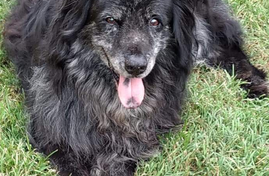 Our Beloved Boy, Tana