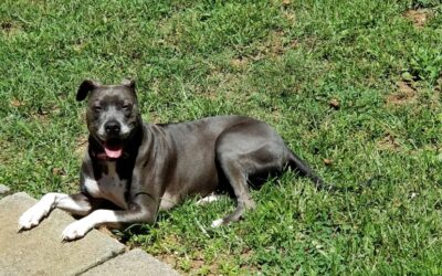 My Precious Baby Girl