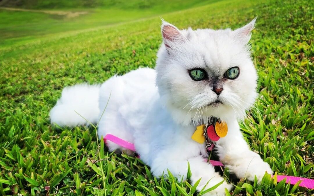 I loved you your entire life, I’ll miss you for the rest of mine.