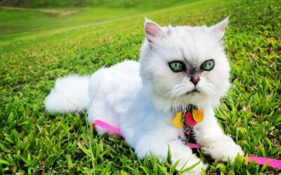 I loved you your entire life, I’ll miss you for the rest of mine.