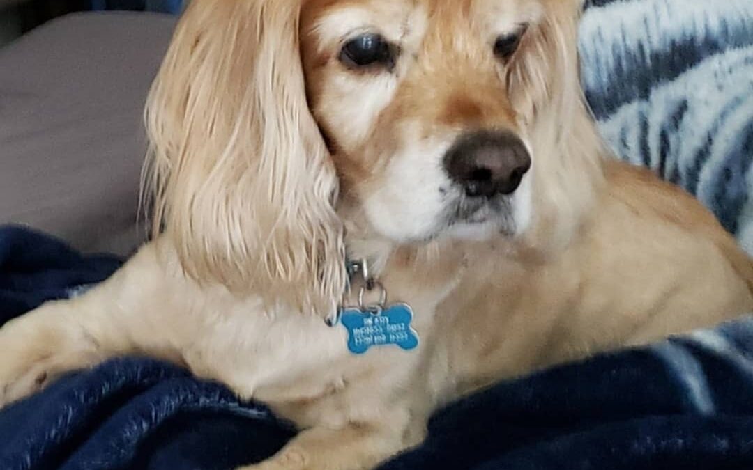 Remembering our beloved Brady