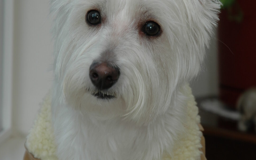 My sweet boy…
