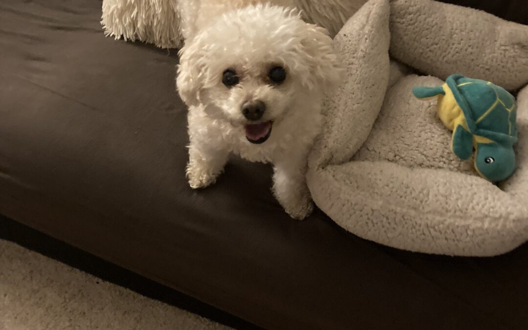 Jordan LeBron Stafford